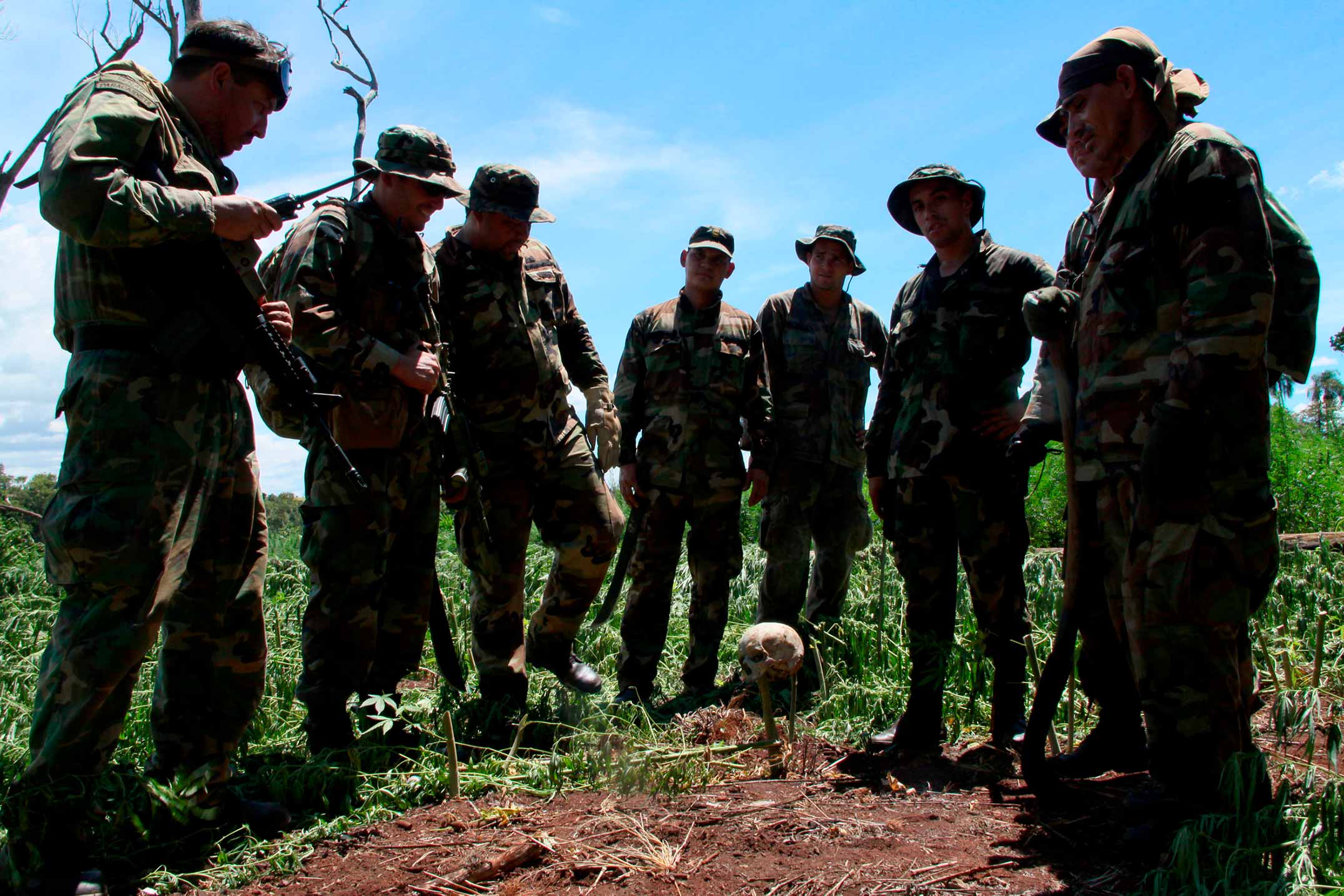 Militares en un campo de coca mirando un cráneo